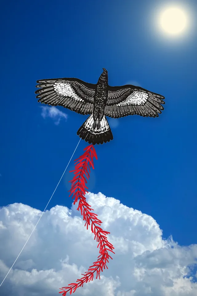 Kartal Uçurtma, görsel 5